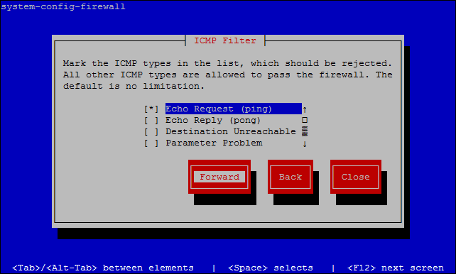 ICMP Filter