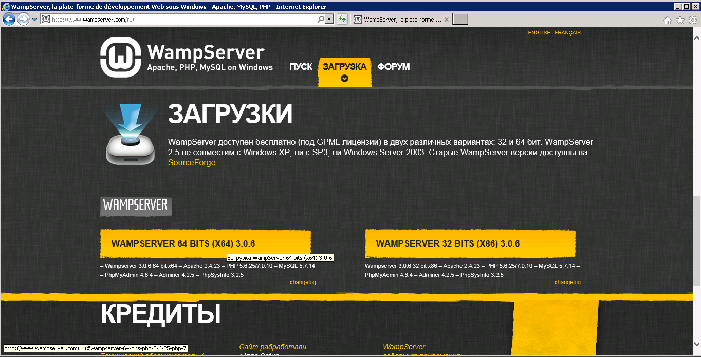 wamp server